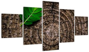 Obraz liścia na pniu drzewa (125x70 cm)