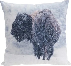 Poduszka Bizon, 45 x 45 cm