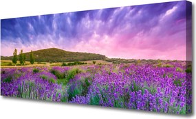 Zdjęcie na płótnie Alpejska Łąka w Kwiatach