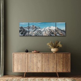 Obraz ośnieżonych szczytów, Fiordland (170x50 cm)