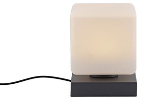 Lampa stołowa ciemnoszara w komplecie z diodą LED z możliwością ściemniania za pomocą dotyku - Jano Nowoczesny Oswietlenie wewnetrzne