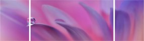 Obraz - Kropla na kwiecie (170x50 cm)