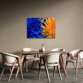 Obraz na szkle - szczegółowy obraz kwiatów (70x50 cm)