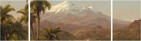Obraz - Frederic Edwin Church, Tamaca Palms, reprodukcje (170x50 cm)