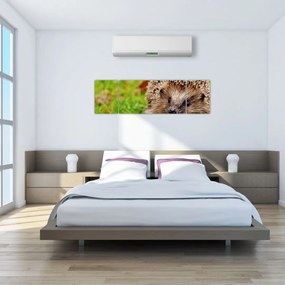 Obraz jeża (170x50 cm)
