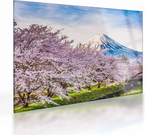 Obraz na szkle - Japonia wiosną (70x50 cm)