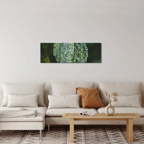 Obraz - krople na liściu (z zegarem) (90x30 cm)