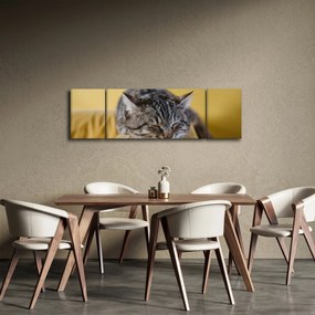 Obraz kota na kanapie (170x50 cm)