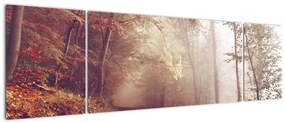 Obraz - Jesienny spacer po lesie (170x50 cm)
