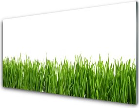 Panel Kuchenny Soczysta Zielona Trawa