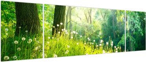 Obraz - Magiczna łąka pełna mniszków lekarskich (170x50 cm)