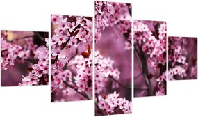 Obraz - Różowa sakura (125x70 cm)