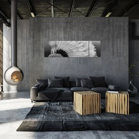 Obraz dmuchawca, czarno - biały (170x50 cm)