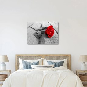 Obraz na szkle czerwonej róży (70x50 cm)