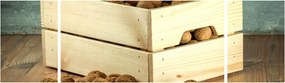 Obraz - Jesienna martwa natura z orzechami (170x50 cm)