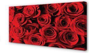 Obraz na płótnie Bukiet Świeżych Róż