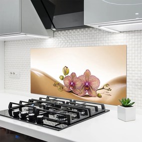 Panel Kuchenny Drzewa Natura Roślina