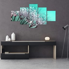 Obraz - zroszona roślina (125x70 cm)