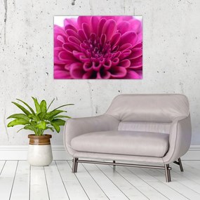 Obraz na szkle kwiatu (70x50 cm)