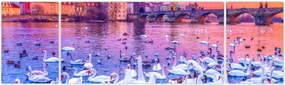 Obraz - Praga (170x50 cm)