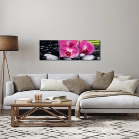 Obraz - Różowe orchidee z liściem palmy (z zegarem) (90x30 cm)