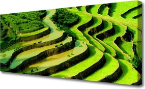 Obraz drukowany na płótnie Tarasy Ryżowe w Azji