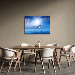 Obraz - Mewa nad morzem (70x50 cm)