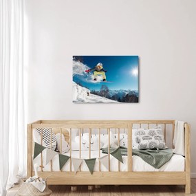 Obraz - Snowboardzista (70x50 cm)
