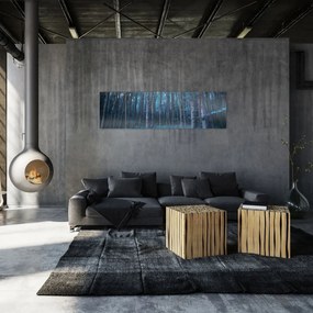 Obraz - Magiczny las (170x50 cm)