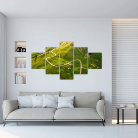 Obraz - Plateau Meadow (125x70 cm)