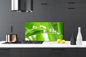 Panel nad blat kuchenny Tropikalna Flora Liściasta