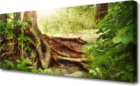 Obraz canvas na ścianę Tekstura Pnia Drzewa w Lesie