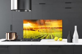 Panel Kuchenny Złota Godzina Nad Polem