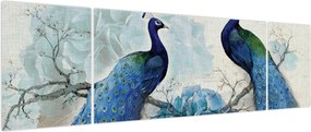 Obraz - Pawie tekstury (170x50 cm)