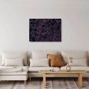 Obraz na szkle ciemnoczerwonych liści (70x50 cm)
