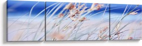 Obraz - Bryza (170x50 cm)