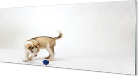 Panel szklany do Kuchni Radosna Zabawa Psa