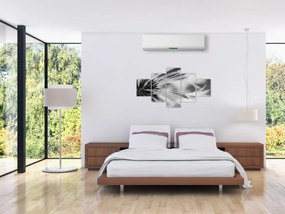 Obraz - Makro, czarno - biały (125x70 cm)