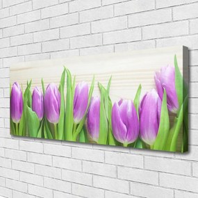 Obraz Canvas Tulipany Kwiaty Natura