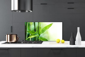 Szkło Ozdobne do Kuchni Egzotyczny Detal Liścia