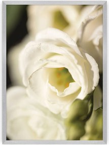 Plakat Flower Wall