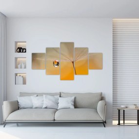 Obraz - Makro kwiat (125x70 cm)