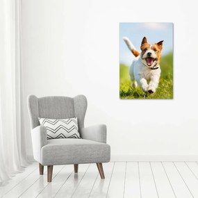 Foto obraz na płótnie pionowy Pies Jack Russell