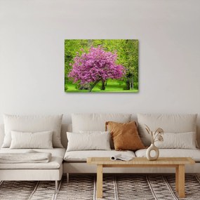 Obraz kwitnącego drzewa na łące (70x50 cm)