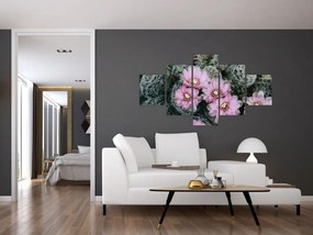 Obraz kwiatu kaktusa (125x70 cm)