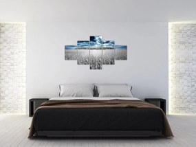 Obraz pola (125x70 cm)