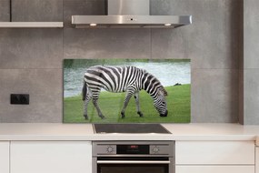 Szklany Panel Zebra