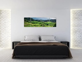 Obraz pól ryżowych (170x50 cm)