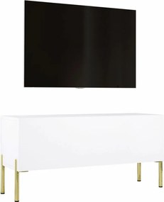 Szafka pod telewizor w kolorze białym matowym / białym błyszczącym, złote nogi, 100 x 52 x 32 cm