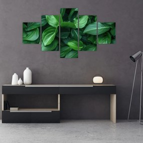 Obraz - Zielone liście (125x70 cm)